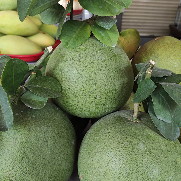 Bưởi da xanh ruột đỏ